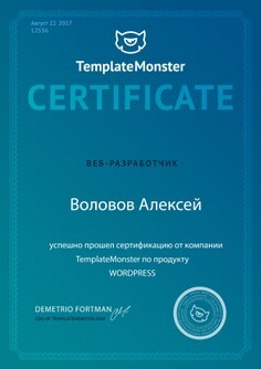 Мой сертификат Веб-студия Частный вебмастер